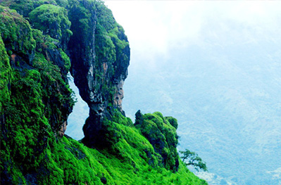 Elephant head point