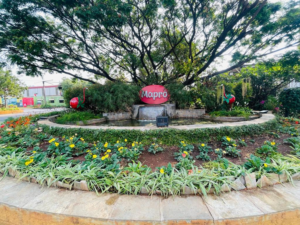 mapro garden