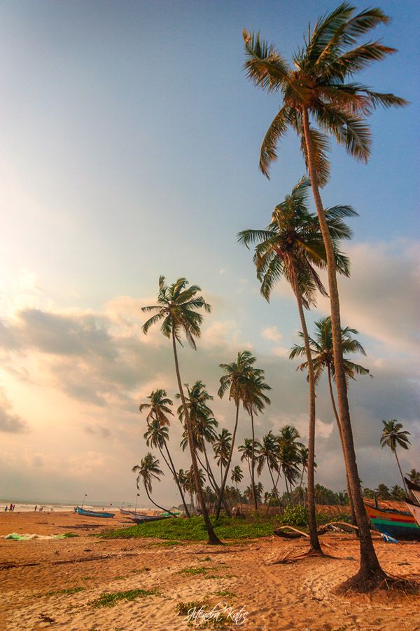 Kokan Trip